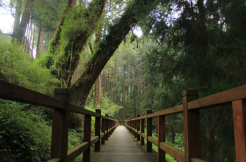 A Restful Mountain Retreat – Alishan National Scenic Area