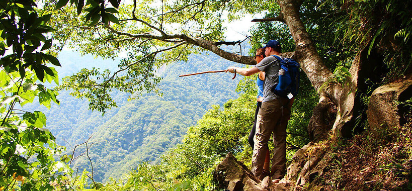 couple Taiwan tour in the forest