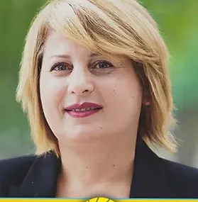 Shahin Sabouri-LCMHC-Counselor