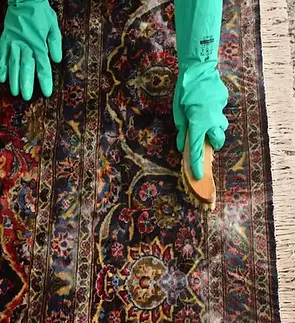 download (32) (2).webp