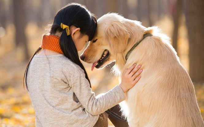 thú cưng, nuôi chó mèo, lợi ích nuôi chó mèo, cải thiện sức khoẻ