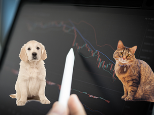 Vì sao người nuôi chó thích mua cổ phiếu hơn người nuôi mèo?