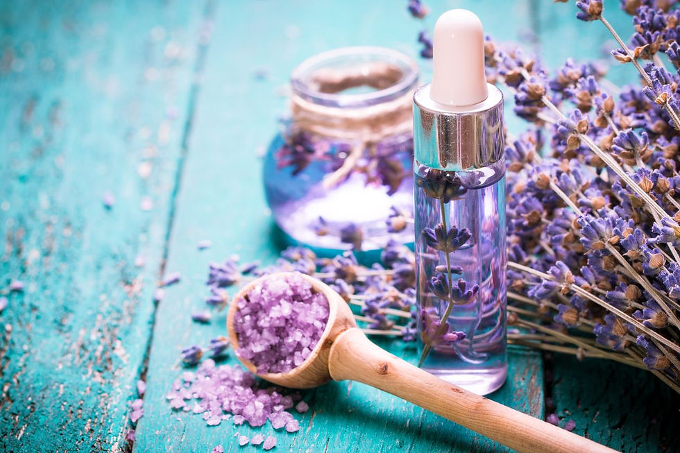 lễ 30/4, 1/5, nghỉ lễ, pháo hoa, thú cưng, chó, tiếng ồn