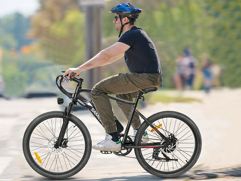 Thumbnail: SAMEBIKE EBE2 Electric Bike