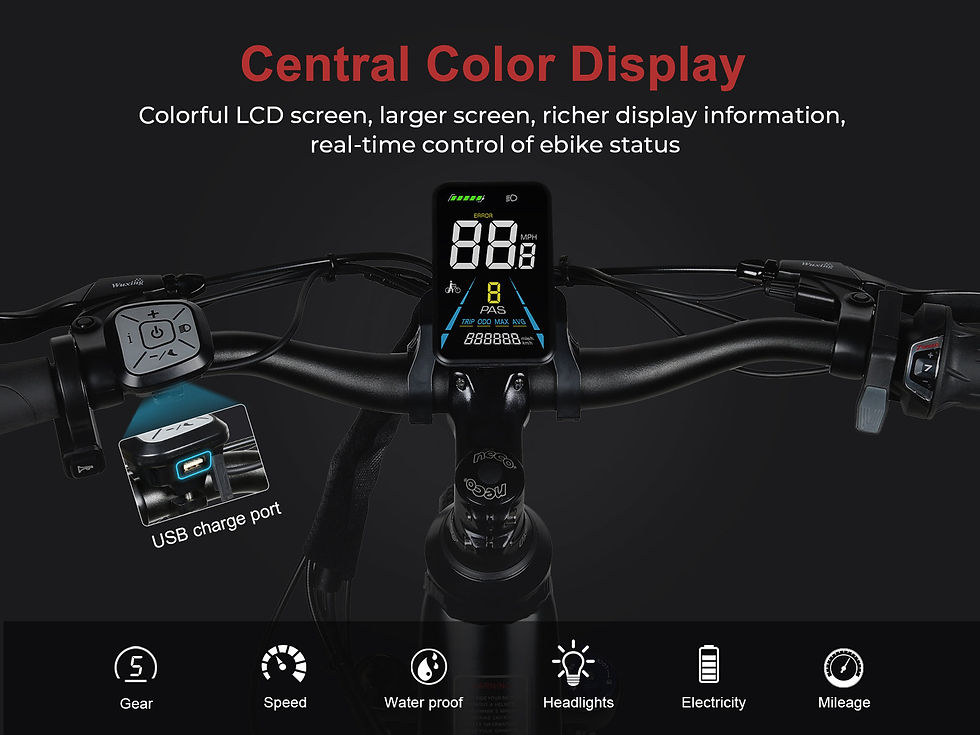 Thumbnail: RS-A01 Pro-T Urban Electric Bicycle
