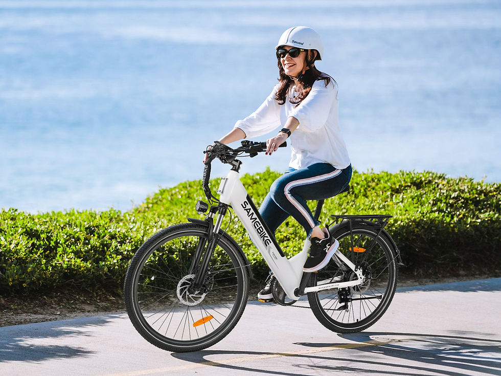 Thumbnail: RS-A01 Pro-T Urban Electric Bicycle