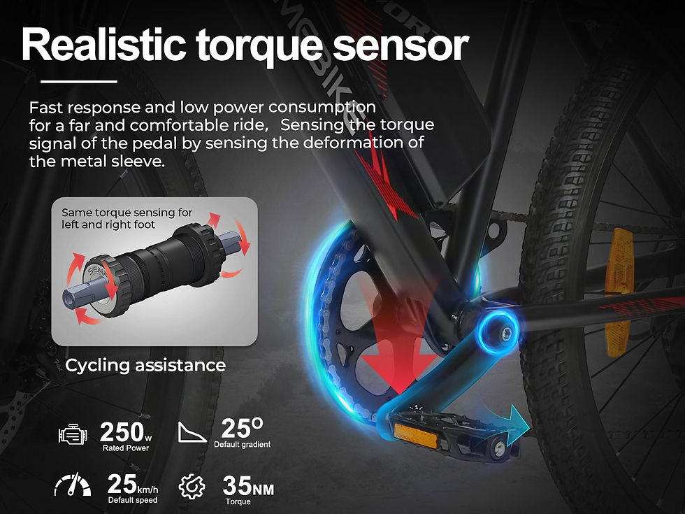 Thumbnail: SAMEBIKE EBE2 Electric Bike