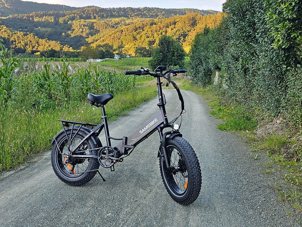 Thumbnail: SAMEBIKE LOTDM200-II Electric Bike 