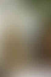 Goldene Ganesha-Statue im Innenbereich mit dekorativem Altar und KerzeGoldene Ganesha-Statue im Innenbereich mit dekorativem Altar und Kerze