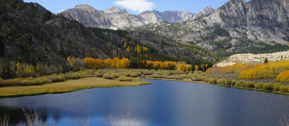 How to see the best fall colors in the Eastern Sierras (2024)