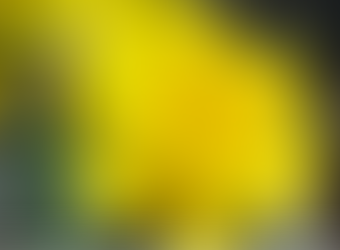 A Sober Mother's Day: Navigating Well-being with Clarity and Purpose