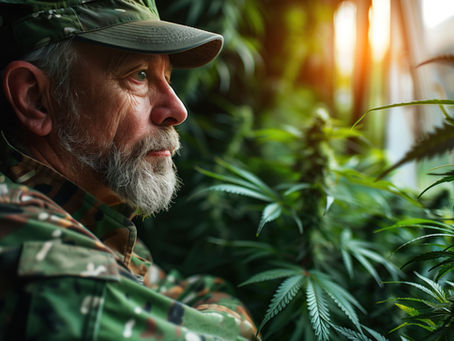 Federal Research Reveals Complex Relationship Between PTSD, Cannabis Use, and Emotional Well-Being in Veterans