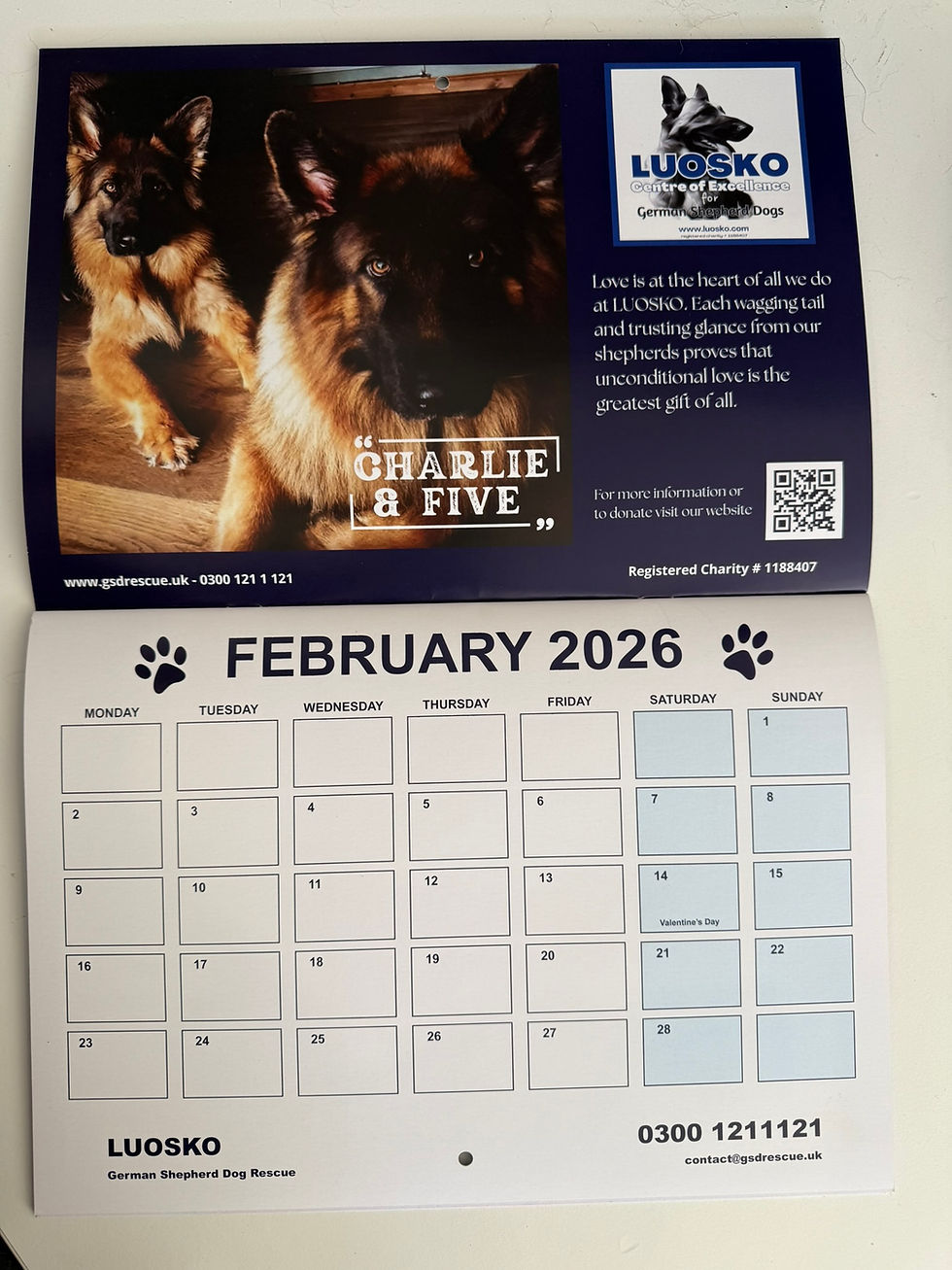 Thumbnail: 2026 LUOSKO 13 Month Calendar