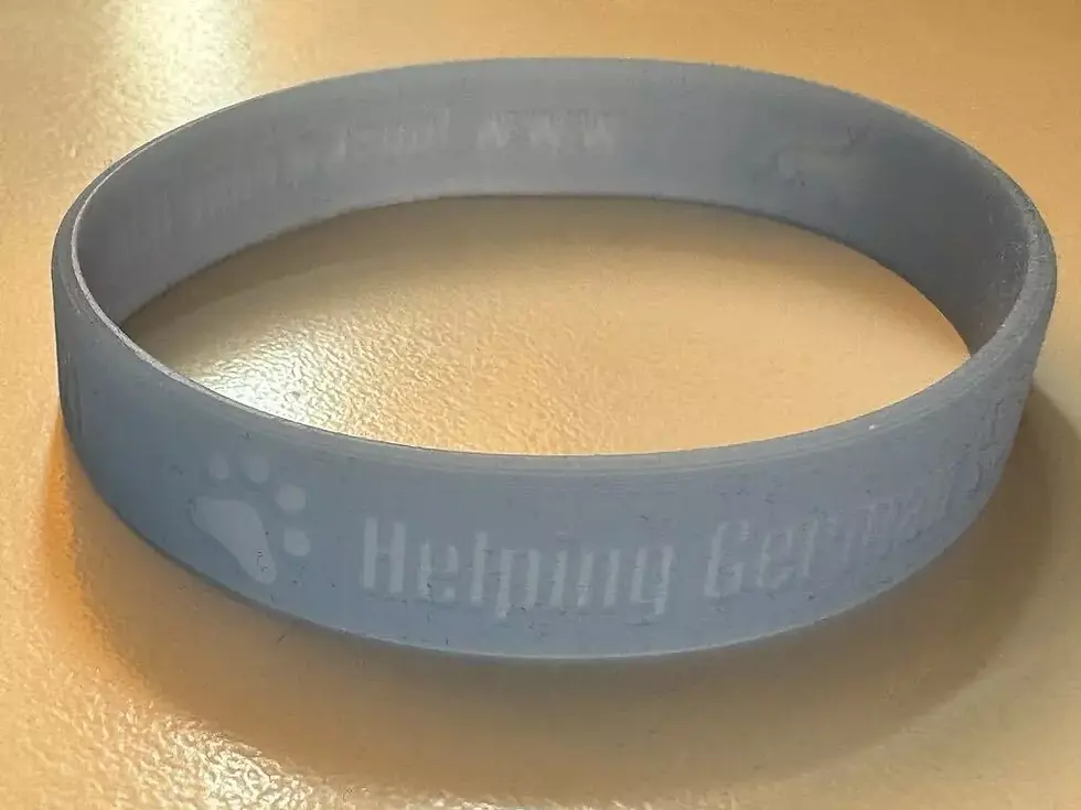 Thumbnail: LUOSKO Supporters Wristband