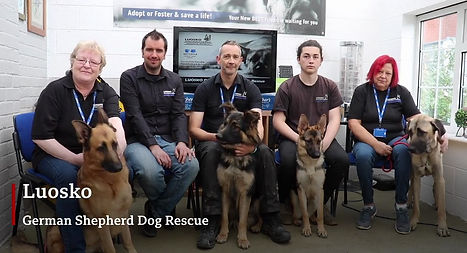 LUOSKO German Shepherd Dog Rescue Team