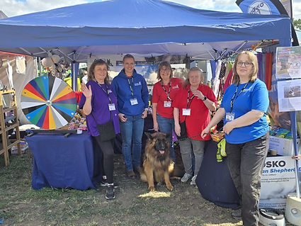 WhatsApp Image 2025-08-05 at 20.50.06_4b1d4fb5.jpg