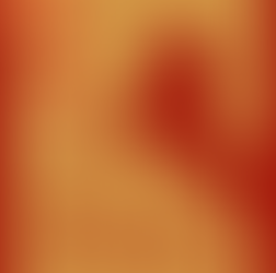 Welcoming the Year of the Horse