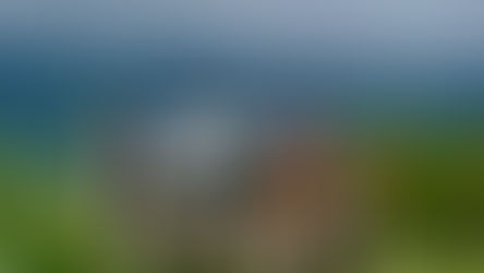 Trekking to Dzüko Valley: A Journey to Remember