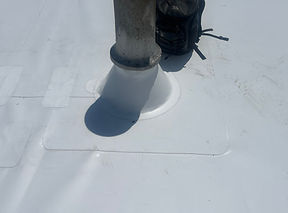 IMG_9991 2.jpeg