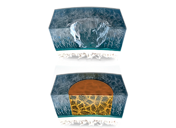 AutoCart™ Technique for the Hip_2x_edite