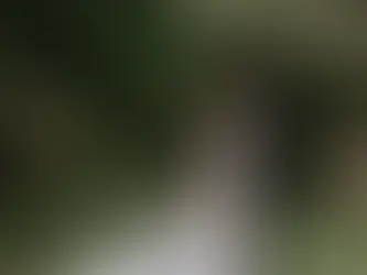 Bride in white gown holding flowers, groom in suit, smiling in garden. Greenery surrounds them with a brick building in the background. Photography by Mikaela Jade, Suffolk wedding photographer.