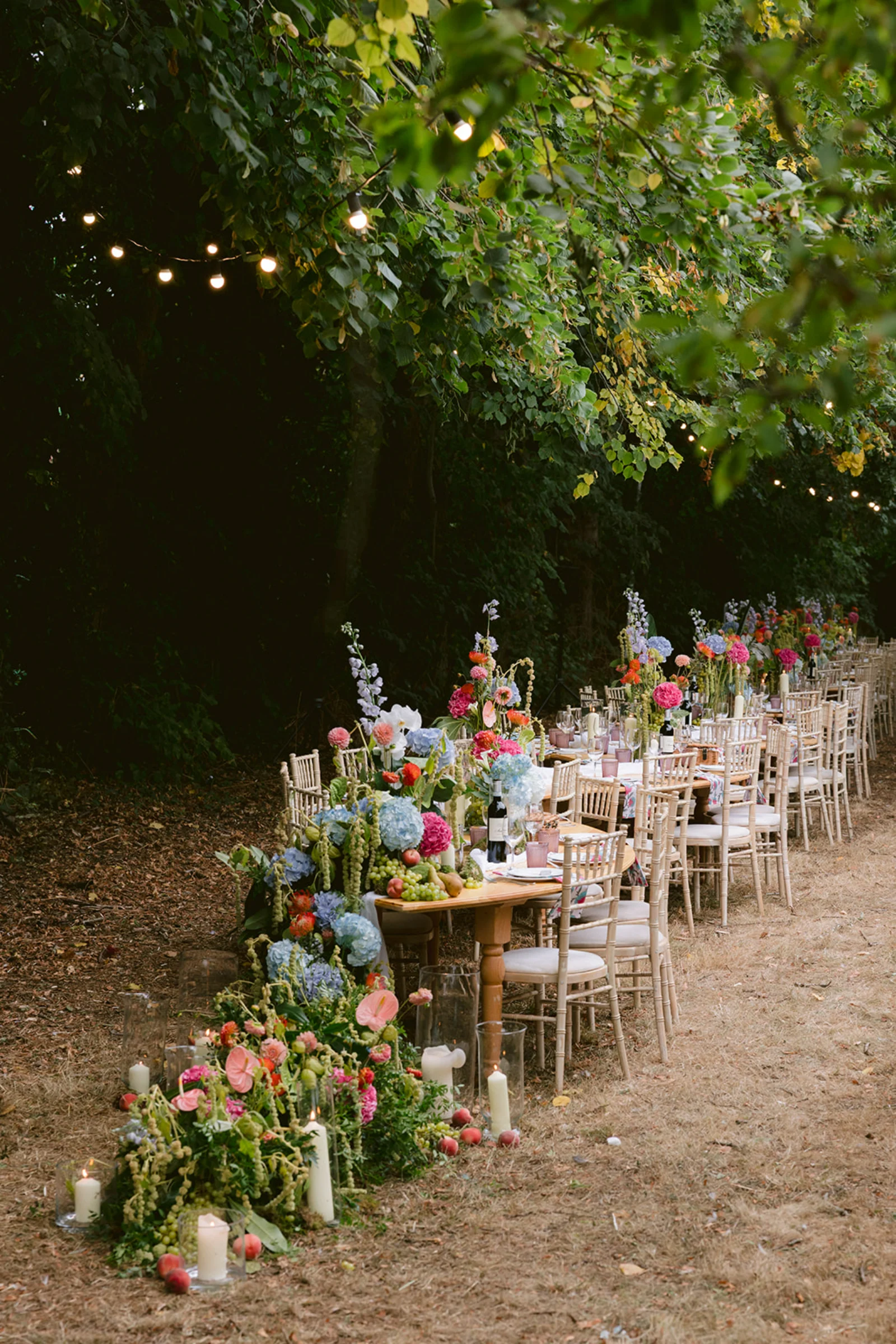 A wedding breakfast table covered in colourful flowers, surrounded by trees, and with fairy lights hanging above.
