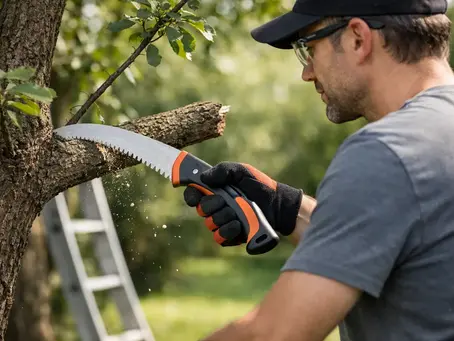 Is It Safe to Cut Branches Myself?