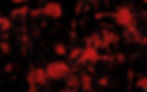 Hintergrund Blut