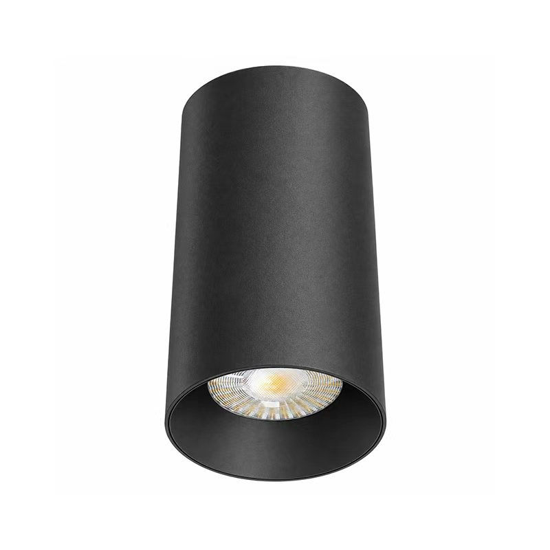 12W SURFACE MOUNT LIGHT IP54 (DL2012)