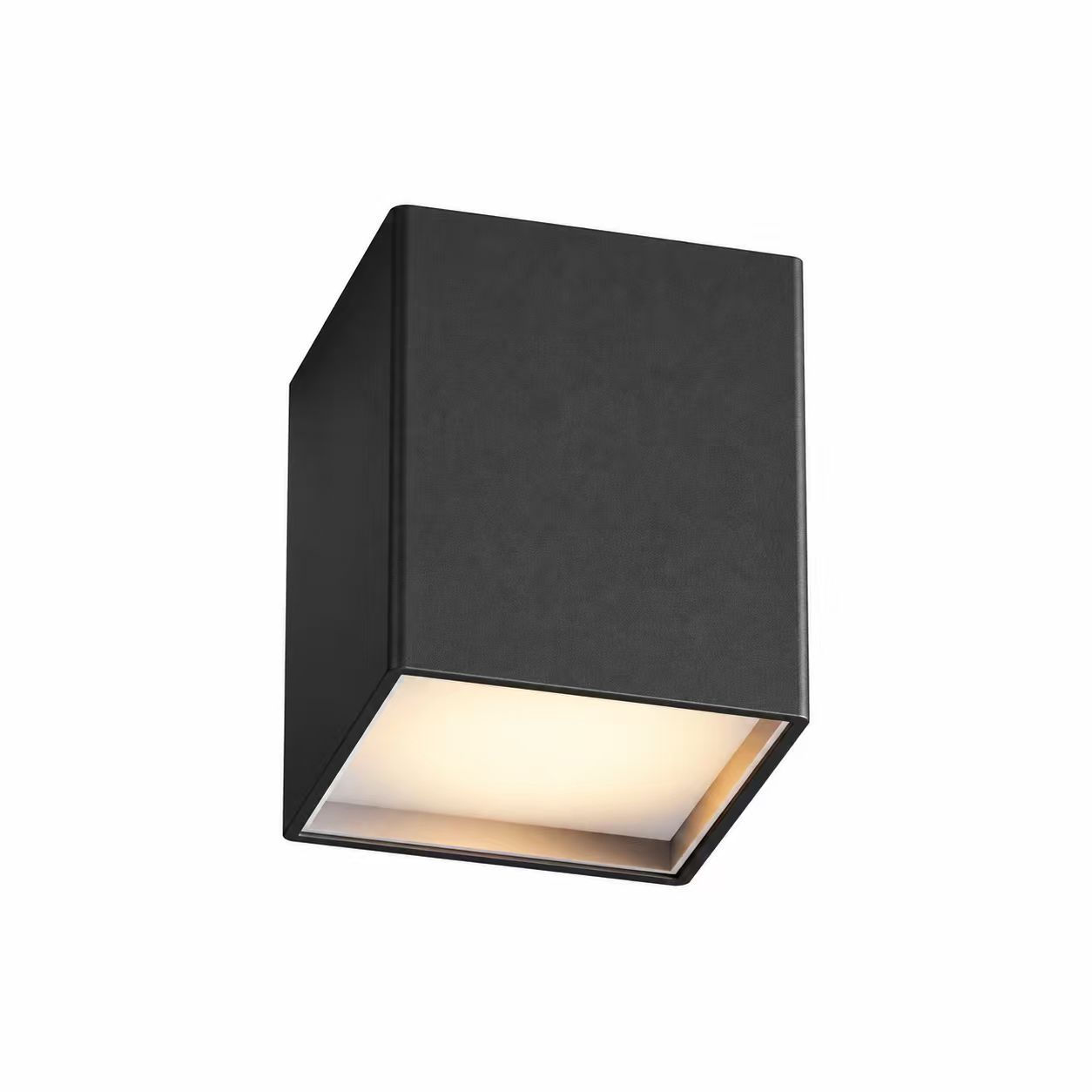10W BLACK SURFACE MOUNT LIGHT (DL1149)
