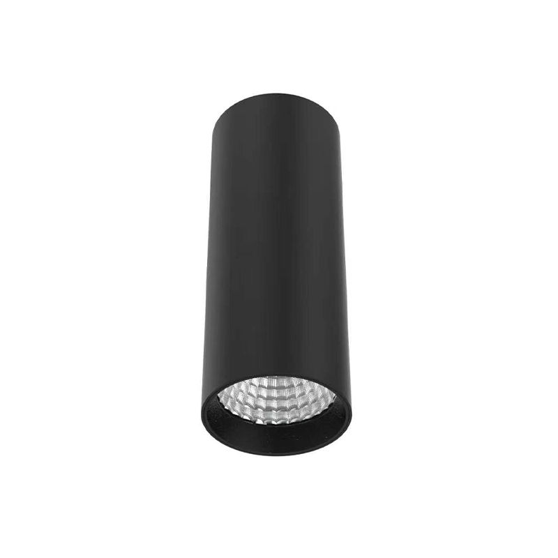 15W SURFACE MOUNT LIGHT (DL1563)
