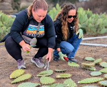 March 2025 Newsletter