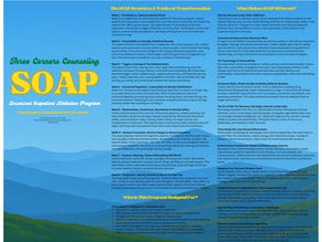 Structured Outpatient Addiction Program Brochure