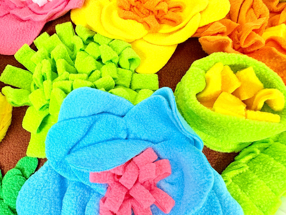 Miniature : Tapis de fouille thème fleurs pour chien chat nacs