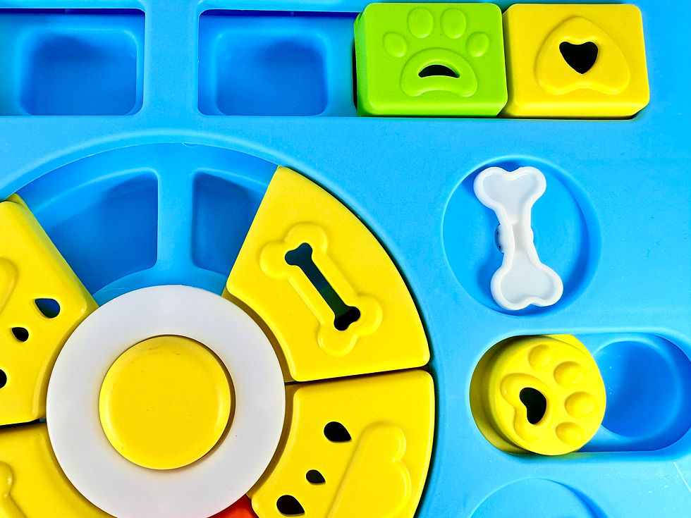 Miniature : Jeu de stratégie puzzle pour chien chat nacs