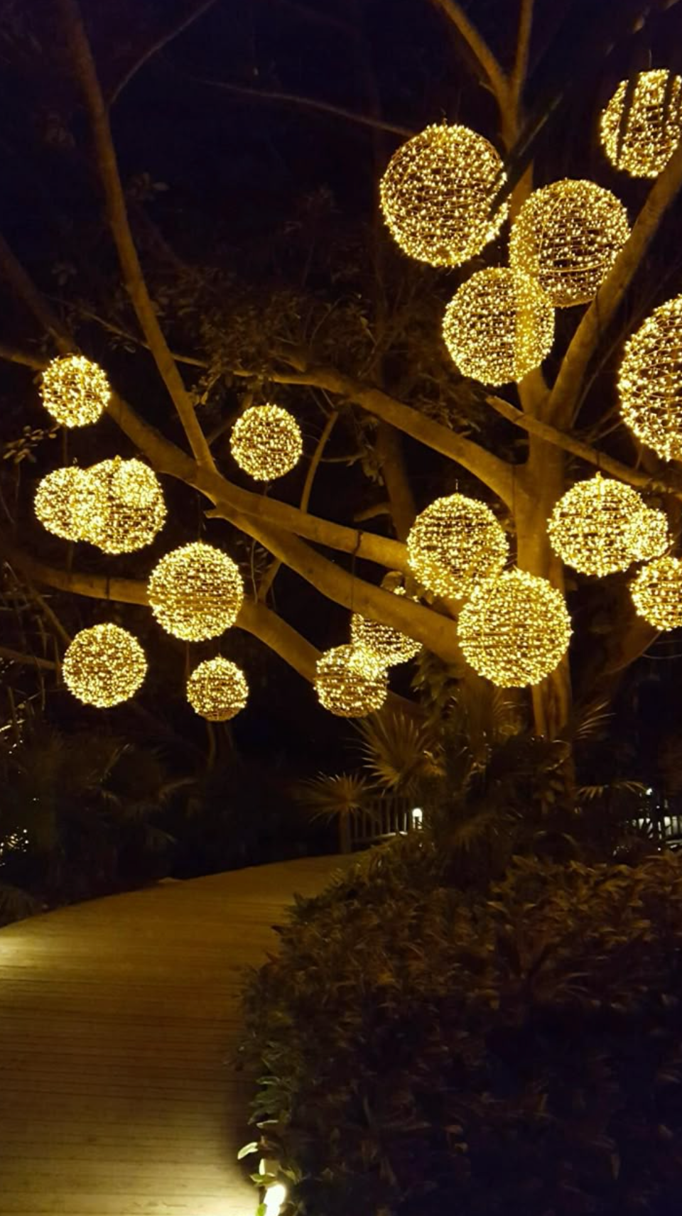 Outdoor Diwali lighting Palo Alto