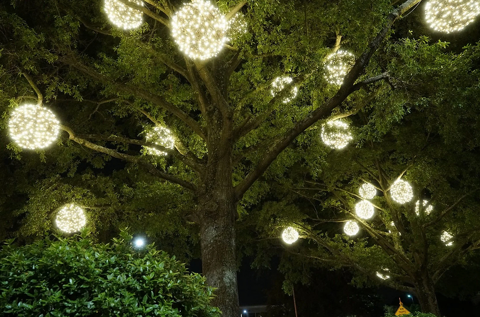 Professional Diwali light installation Bay Area