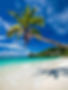 Beach Tour Hoteis Club