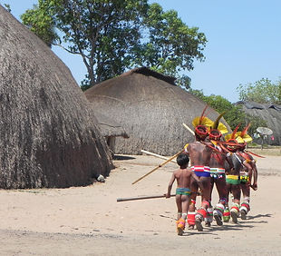 Parque Nacional do Xingu.jpg
