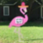 Flamingo Flocking Destin FL