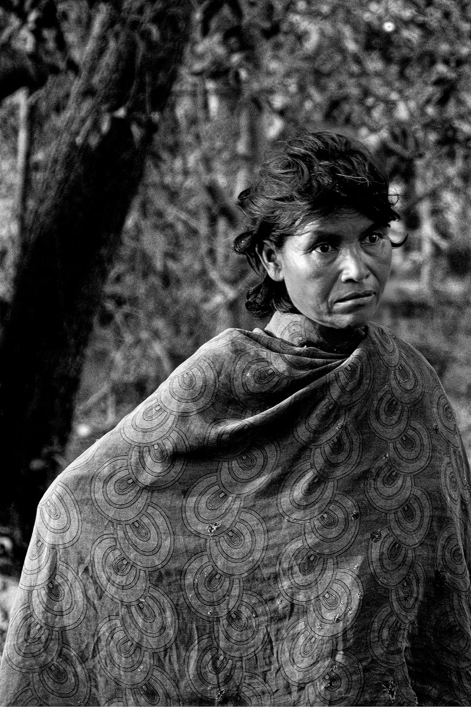 India 2012
