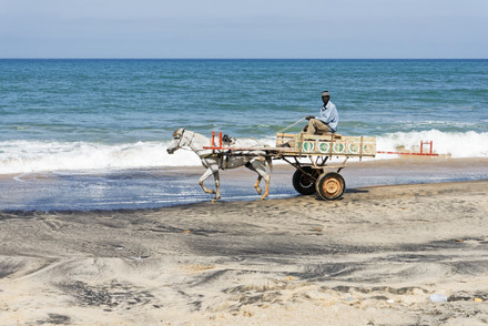 La petite côte 2014