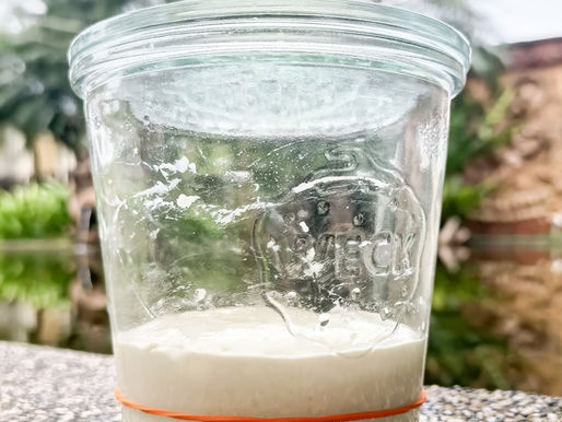 Sourdough starter Maintenance