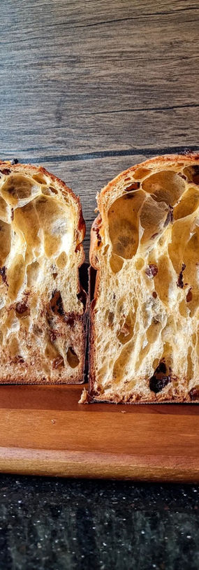 Open crumb panettone