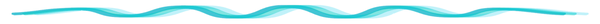 Bbts_Light Blue Wave Divider_edited.png