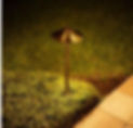 path1.jpeg