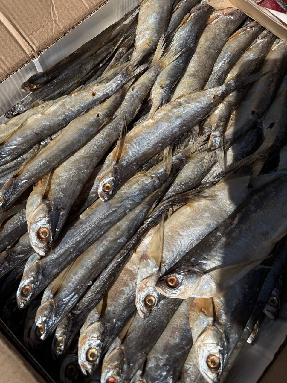 Чехонь вяленая без икры 500 г / Getrockneter Säbelfisch ohne Rogen 500 g
