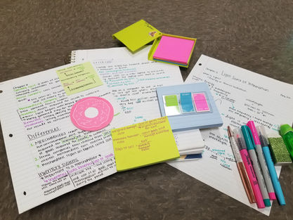 Extra is Better by Samantha Gallegos