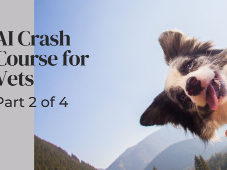 AI Crash Course for Veterinarians: Part 2 of 4