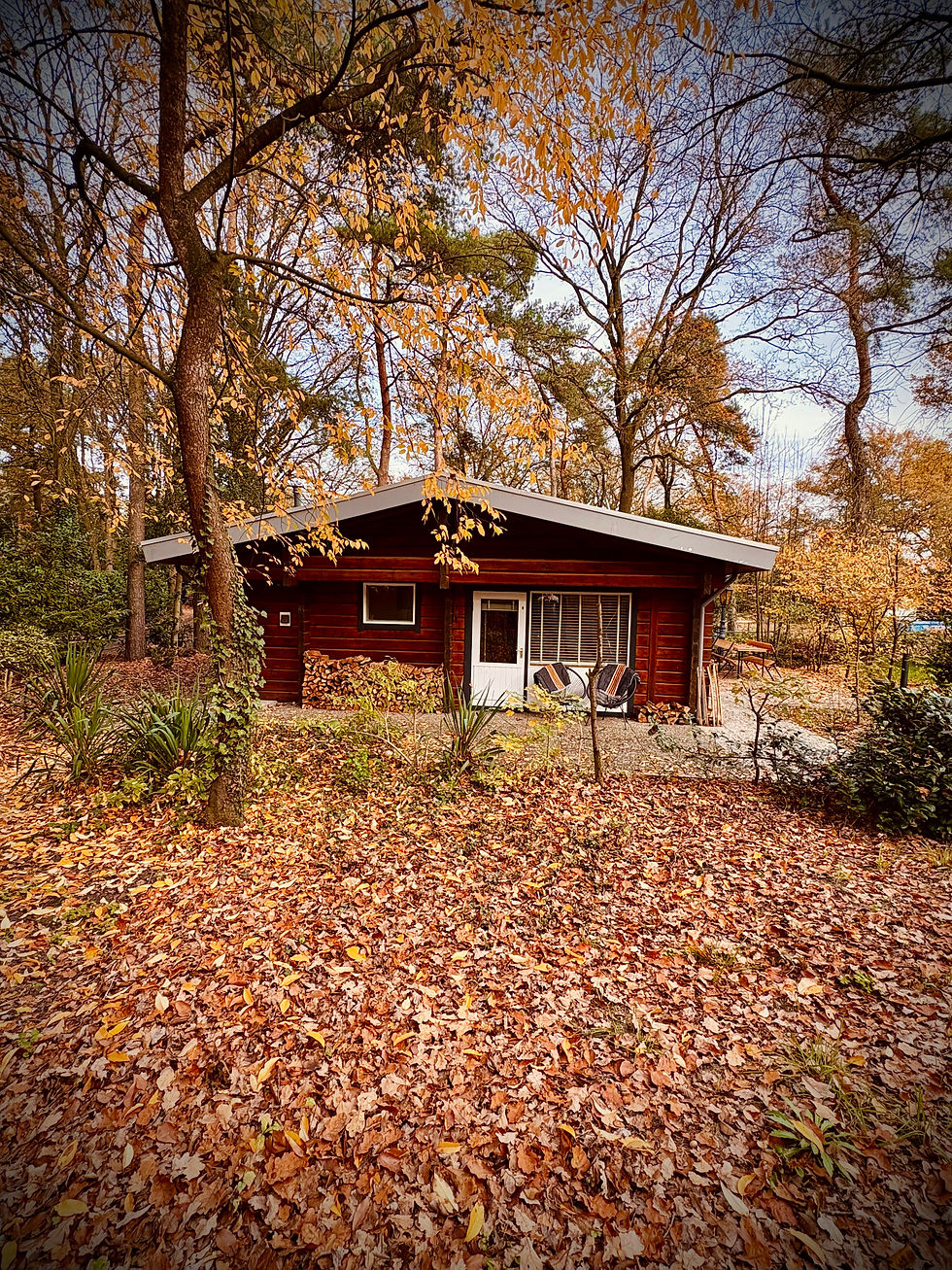 Werken in een boshuisje: Workation in De Boskeet, Noord-Limburg